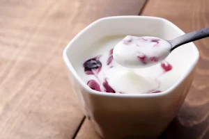 Iogurte natural caseiro com frutas vermelhas. Iogurteira top 10.